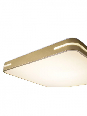 Потолочный светодиодный светильник Zortes Gabby ZRS.1215.04