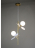 Подвесная люстра Zortes Floret ZRS.01201.02