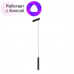 Трековый светодиодный светильник Denkirs Smart Spot DK8008-BK