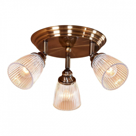 Спот Citilux Виндзор CL539631