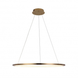 Подвесной светодиодный светильник Loft IT Ring 10014L