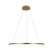 Подвесной светодиодный светильник Loft IT Ring 10014L