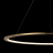 Подвесной светодиодный светильник Loft IT Ring 10014L