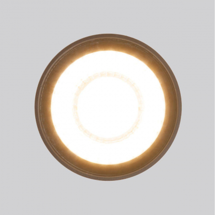 Уличный светодиодный светильник Elektrostandard Light Led 35132/H черный a056231