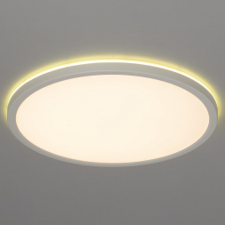 Потолочный светодиодный светильник Citilux Basic Line CL738320EL