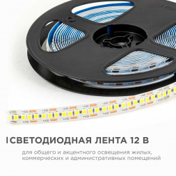 Светодиодная лента OGM 19,2W/m 240LED/m 2835SMD холодный белый 5M LSE-267