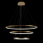 Подвесной светодиодный светильник Loft IT Ring 10015/3