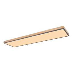 Потолочный светодиодный светильник Globo Doro 416080WD5