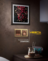 Рамка 2-постовая Vesta-Electric Exclusive Silver Champagne шампань FRM050201BSH