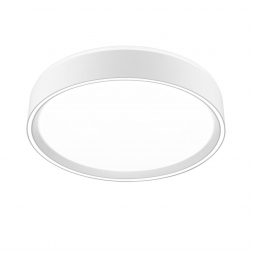 Потолочный светодиодный светильник Citilux Boss CL751250G