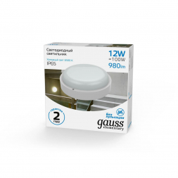 Потолочный светодиодный светильник Gauss Сауна 126411312