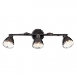 Спот Citilux Робуста CL509532