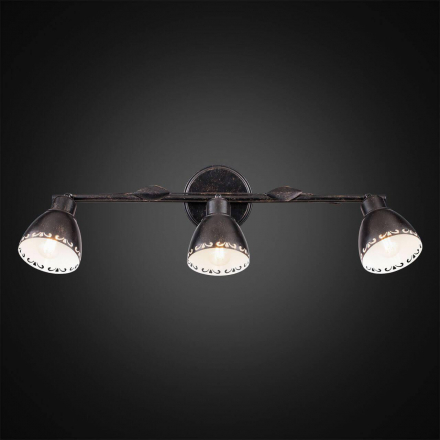 Спот Citilux Робуста CL509532