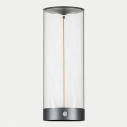 Настольная лампа Citilux Streng CL811011