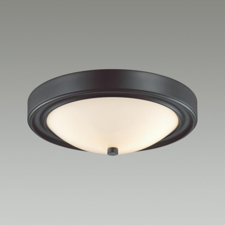 Настенно-потолочный светильник Lumion Vintage Nina 5260/2C