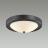 Настенно-потолочный светильник Lumion Vintage Nina 5260/2C