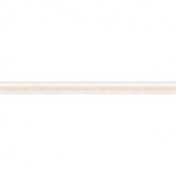 Светодиодная влагозащищенная лента Arlight 11,5W/m 544LED/m CSP теплый белый 5M 031915(2)