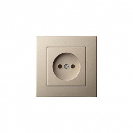 Розетка 2P Liregus Epsilon шампань 28-309