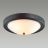 Настенно-потолочный светильник Lumion Vintage Nina 5260/3C