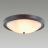 Настенно-потолочный светильник Lumion Vintage Nina 5260/4C