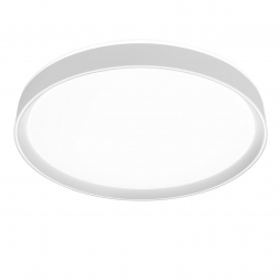 Потолочный светодиодный светильник Citilux Boss CL751450G