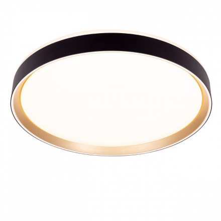 Потолочный светодиодный светильник Citilux Boss CL751451G