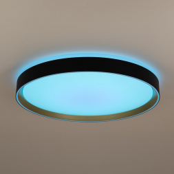 Потолочный светодиодный светильник Citilux Boss CL751451G