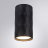 Потолочный светильник Arte Lamp Fang A5557PL-1BK