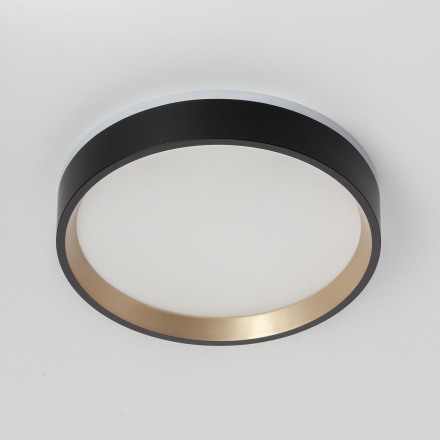 Потолочный светодиодный светильник Citilux Etalon CL750181