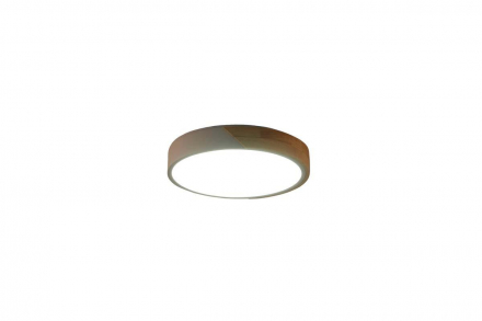 Потолочный светильник Zortes ALBERRO ZRS.01239.90