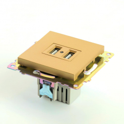Розетка 2хUSB Stekker Катрин золото GLS10-7115-08 49229