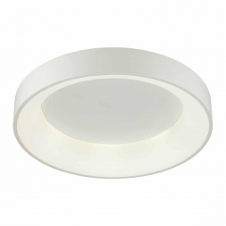 Потолочный светодиодный светильник Odeon Light L-vision Sole 4066/40CL