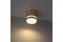 Накладной потолочный светильник Ritter Arton 59945 6