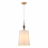 Подвесной светильник Odeon Light HOMI 5040/1A
