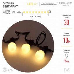 Уличная светодиодная гирлянда ЭРА Белт Лайт 220V теплый свет ERABL-WS10 Б0047954