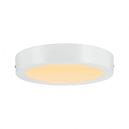 Потолочный светодиодный светильник Paulmann Carpo 79795