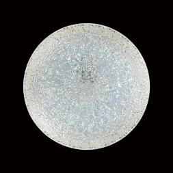 Настенно-потолочный светодиодный светильник Sonex Glori 2081/DL
