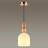 Подвесной светильник Lumion Suspentioni Gillian 4589/1A