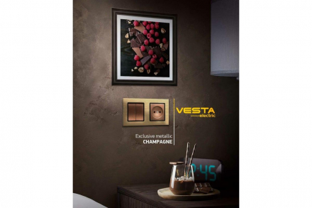 Рамка 5-постовая Vesta-Electric Exclusive Silver Champagne шампань FRM050501BSH
