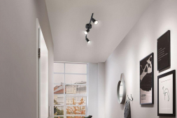 Спот Paulmann Carolina 66757