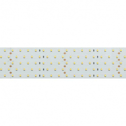 Светодиодная лента Arlight 36W/m 350LED/m 2835SMD теплый белый 2,5M 020390(2)