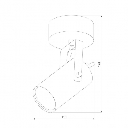 Спот TK Lighting 2793 Redo Black Gold