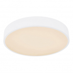 Потолочный светодиодный светильник Globo Leanara 41756-24W