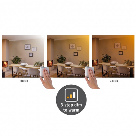 Потолочный светодиодный светильник Paulmann Carpo 79800