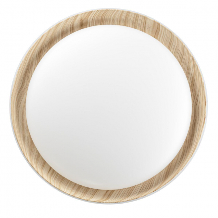 Потолочный светодиодный светильник Citilux Mega CL752352G