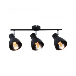 Спот Paulmann Davy 66761