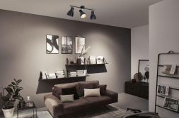 Спот Paulmann Davy 66761