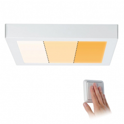 Потолочный светодиодный светильник Paulmann Carpo 79801