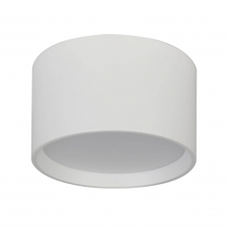 Потолочный светодиодный светильник Escada 20005SMU/02LED SWH