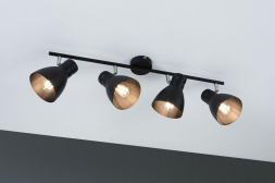 Спот Paulmann Davy 66762